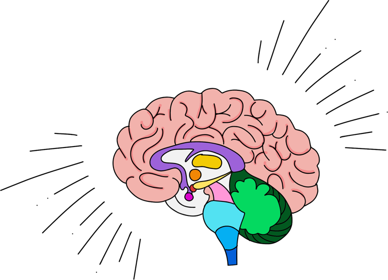 A colourful brain